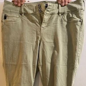 Torrid Jeggings - Light Green (size 18)